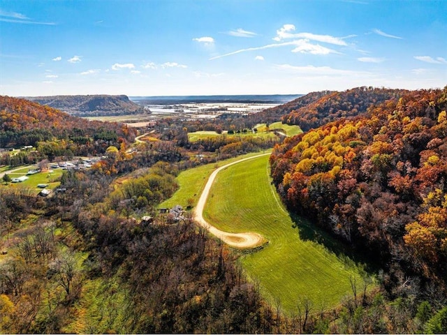 S1546 Shawnee Dr Unit B, Alma, WI 54610 - aerial view of a mountainous background