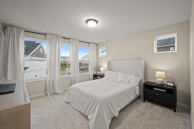 2570 Paddock Path, Shakopee, MN 55379 - carpeted bedroom with multiple windows and a textured ceiling