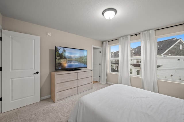 2570 Paddock Path, Shakopee, MN 55379 - bedroom featuring light carpet and a textured ceiling