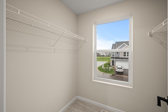 2570 Paddock Path, Shakopee, MN 55379 - spacious closet featuring carpet floors