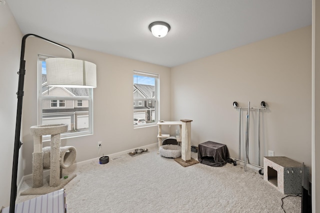 2570 Paddock Path, Shakopee, MN 55379 - misc room featuring carpet and radiator