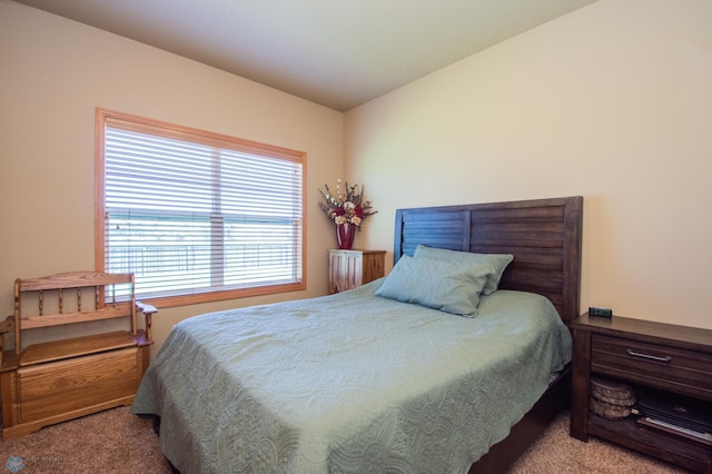 1218 35th Street Cir S, Moorhead, MN 56560 - photo 20