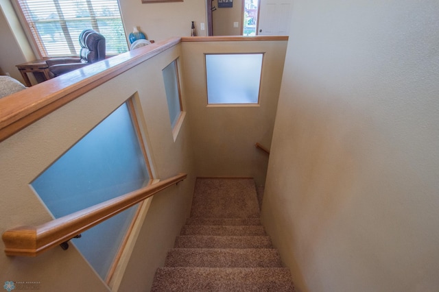 1218 35th Street Cir S, Moorhead, MN 56560 - photo 28