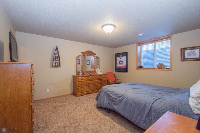 1218 35th Street Cir S, Moorhead, MN 56560 - photo 43