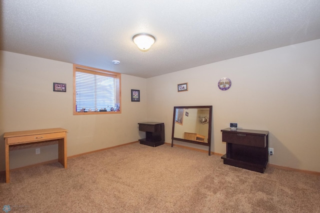 1218 35th Street Cir S, Moorhead, MN 56560 - photo 45