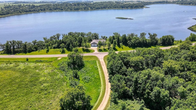 30534 County Highway 12, Dalton, MN 56324 - aerial view of a nearby body of water