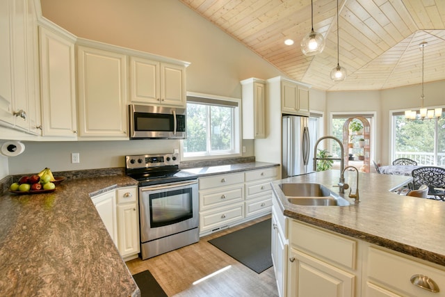 30534 County Highway 12, Dalton, MN 56324 - kitchen with appliances with stainless steel finishes, wood ceiling, plenty of natural light, light wood-style flooring, and decorative light fixtures