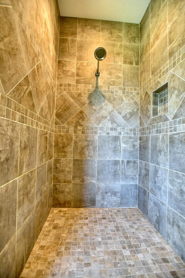 30534 County Highway 12, Dalton, MN 56324 - bathroom featuring a tile shower