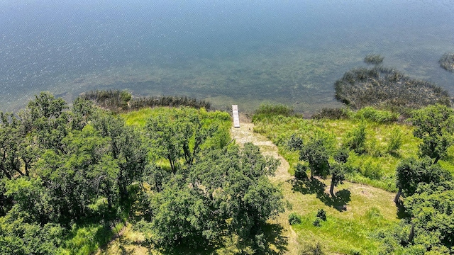 30534 County Highway 12, Dalton, MN 56324 - bird's eye view