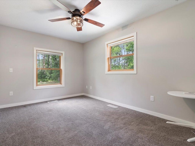 6629 45th Ave SW, Moose Lake Twp, MN 56472 - carpeted spare room featuring healthy amount of natural light and a ceiling fan