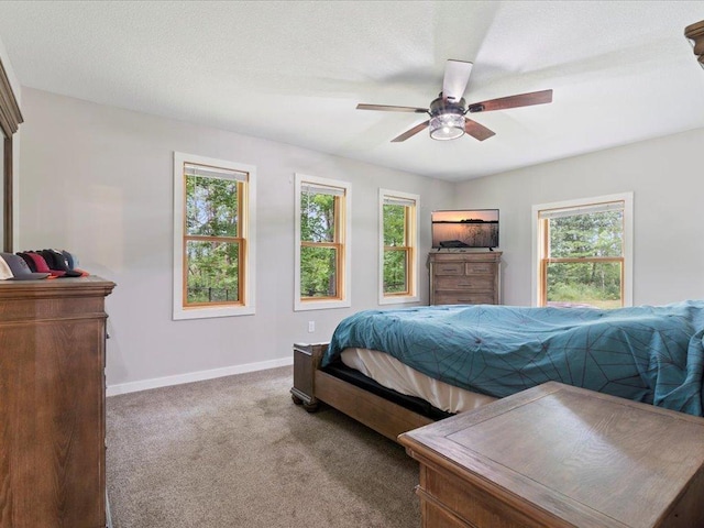 6629 45th Ave SW, Moose Lake Twp, MN 56472 - bedroom with carpet flooring and a ceiling fan