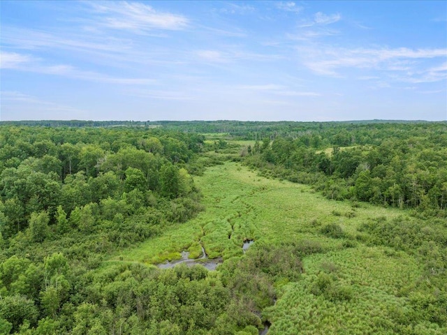 6629 45th Ave SW, Moose Lake Twp, MN 56472 - bird's eye view of a forest