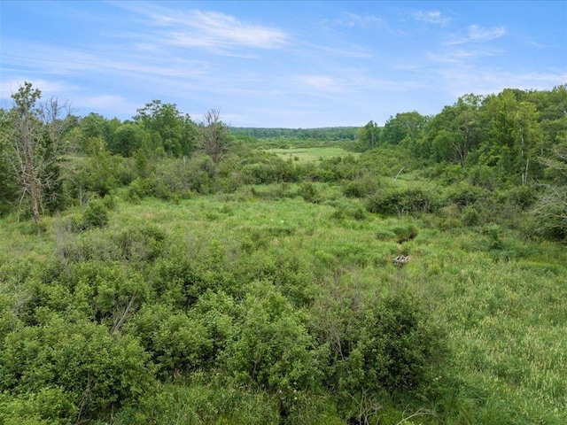 6629 45th Ave SW, Moose Lake Twp, MN 56472 - view of woods