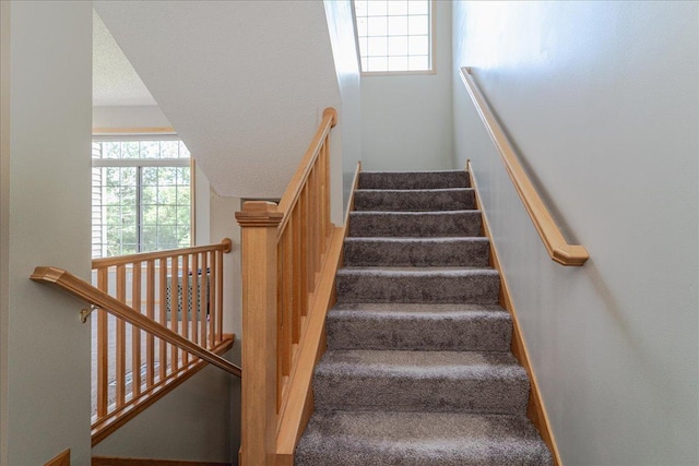 4363 Victor Path Unit 7, Hugo, MN 55038 - stairs with carpet floors and baseboards