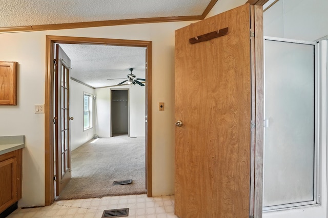 6257 State Highway 70, Rock Creek, MN 55063 - corridor with a textured ceiling, light floors, ornamental molding, light colored carpet, and lofted ceiling