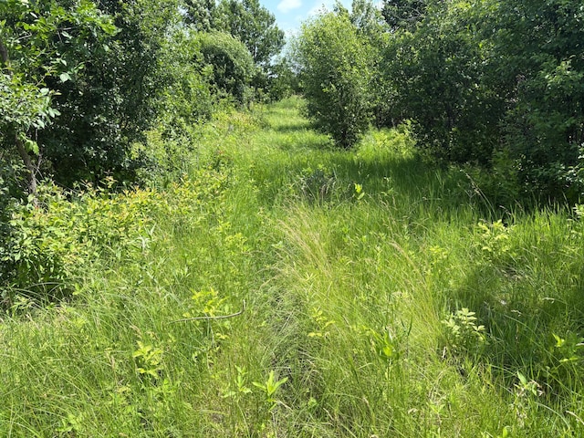 TBD 348th St, Lake Prairie Twp, MN 56058