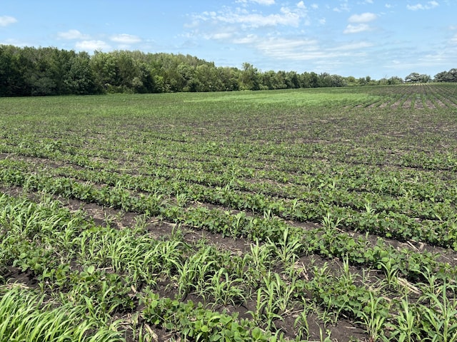 TBD 348th St, Lake Prairie Twp, MN 56058