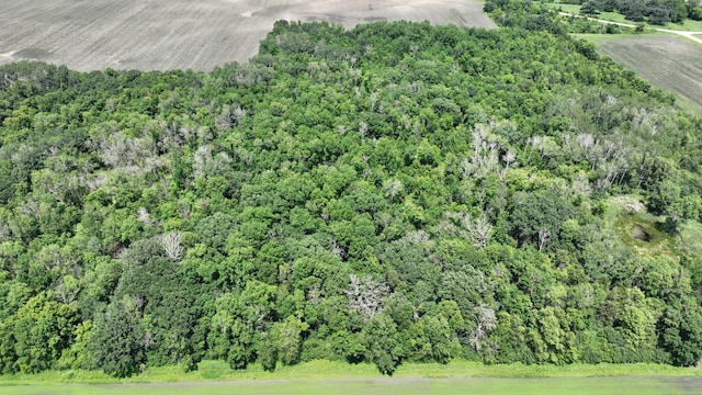 TBD 348th St, Lake Prairie Twp, MN 56058