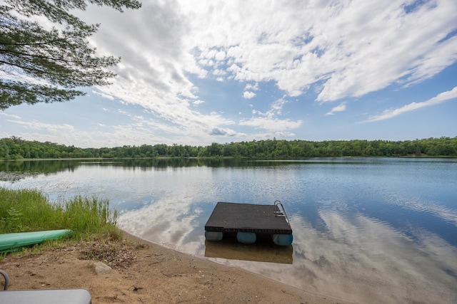 1618 Maple Shores Ln NE, Longville, MN 56655 - dock area featuring a water view and a forest view