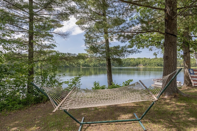 1618 Maple Shores Ln NE, Longville, MN 56655 - view of yard with a water view and a wooded view