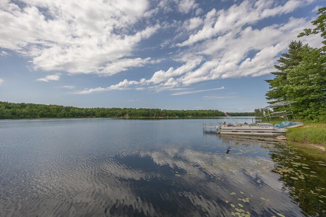 1618 Maple Shores Ln NE, Longville, MN 56655 - water view featuring a dock