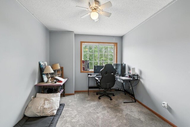 8870 92nd St S, Cottage Grove, MN 55016 - photo 14