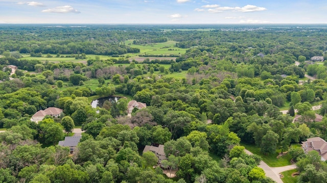 3027 135th Ave NE, Ham Lake, MN 55304 - drone / aerial view of a forest and a large body of water