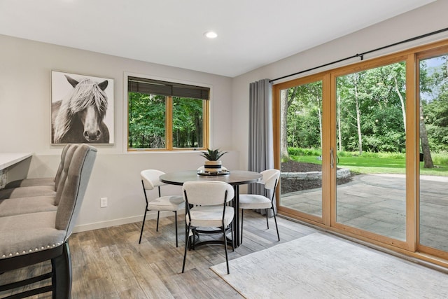 3027 135th Ave NE, Ham Lake, MN 55304 - dining space featuring wood finished floors and recessed lighting