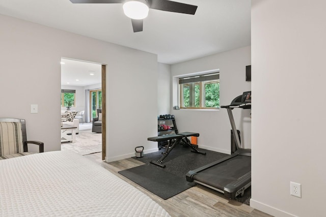 3027 135th Ave NE, Ham Lake, MN 55304 - workout area featuring wood finished floors, ceiling fan, and plenty of natural light