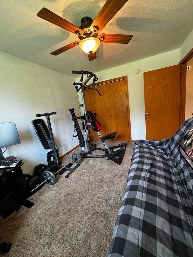 13492 Edgewood Ln SE, Mentor, MN 56736 - workout area featuring a textured ceiling, a ceiling fan, and carpet floors