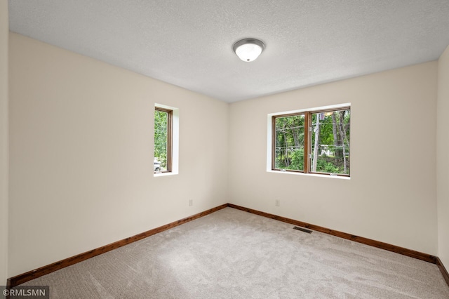 2117 Oakridge St, Saint Paul, MN 55119 - unfurnished room featuring healthy amount of natural light, carpet flooring, and a textured ceiling