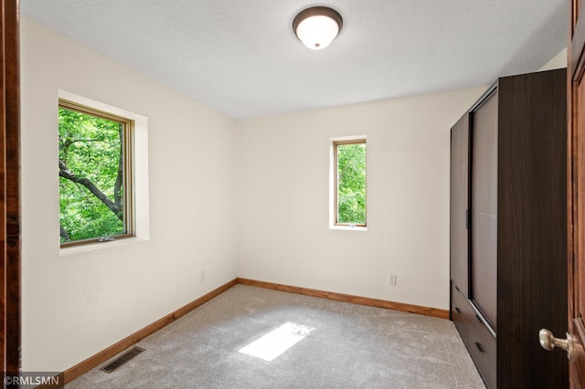 2117 Oakridge St, Saint Paul, MN 55119 - unfurnished bedroom featuring multiple windows, carpet floors, and a textured ceiling