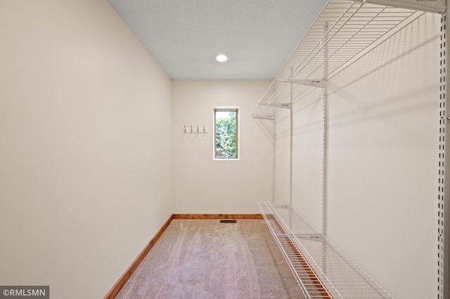 2117 Oakridge St, Saint Paul, MN 55119 - spacious closet featuring carpet flooring
