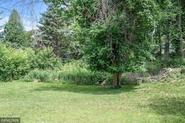 2117 Oakridge St, Saint Paul, MN 55119 - view of green lawn featuring a forest view
