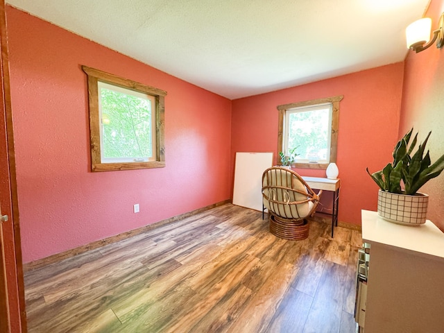 23228 Lakeshore Dr, Glenwood, MN 56334 - photo 12