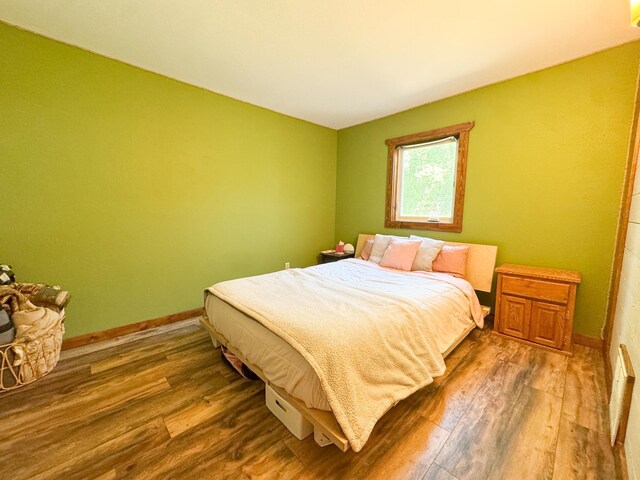 23228 Lakeshore Dr, Glenwood, MN 56334 - photo 15