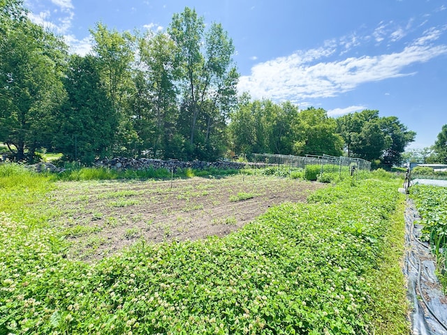 23228 Lakeshore Dr, Glenwood, MN 56334 - photo 32