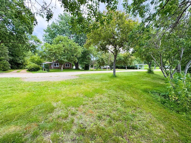 23228 Lakeshore Dr, Glenwood, MN 56334 - photo 36