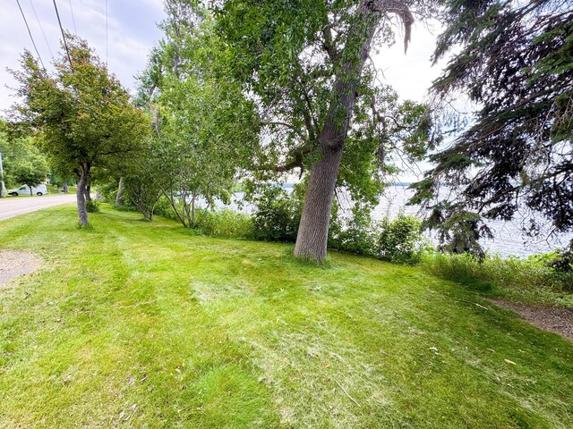 23228 Lakeshore Dr, Glenwood, MN 56334 - photo 41