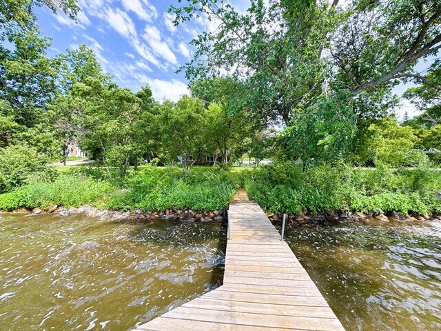 23228 Lakeshore Dr, Glenwood, MN 56334 - photo 44