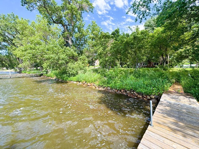 23228 Lakeshore Dr, Glenwood, MN 56334 - photo 45