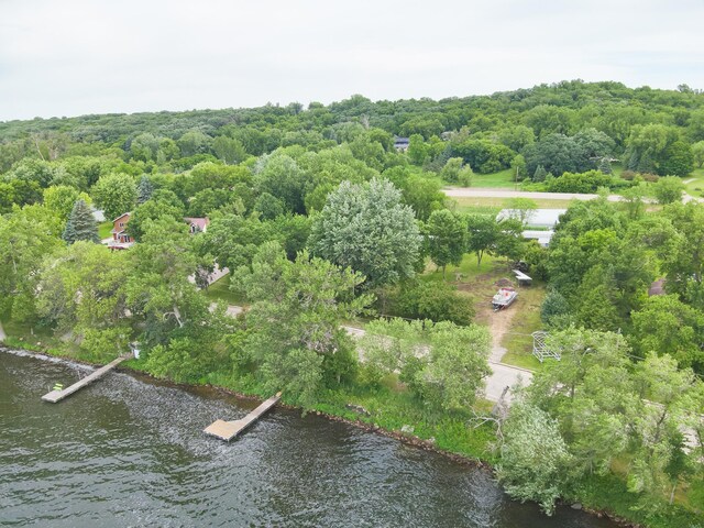 23228 Lakeshore Dr, Glenwood, MN 56334 - photo 52