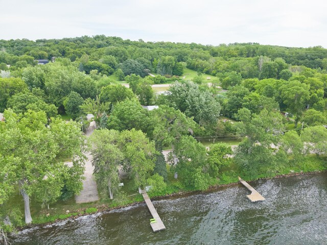 23228 Lakeshore Dr, Glenwood, MN 56334 - photo 53