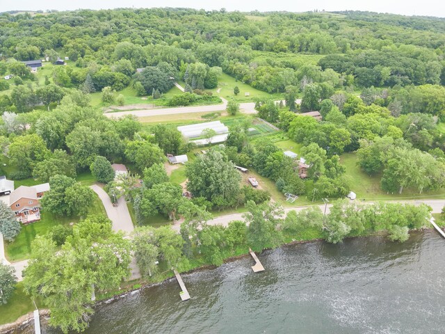 23228 Lakeshore Dr, Glenwood, MN 56334 - photo 55