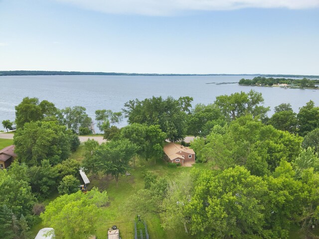 23228 Lakeshore Dr, Glenwood, MN 56334 - photo 57