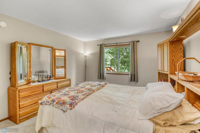 2744 32nd St S, Moorhead, MN 56560 - bedroom featuring light carpet