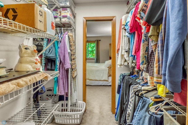 2744 32nd St S, Moorhead, MN 56560 - spacious closet featuring carpet floors