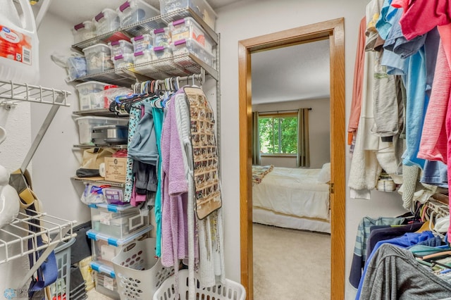 2744 32nd St S, Moorhead, MN 56560 - walk in closet featuring carpet floors