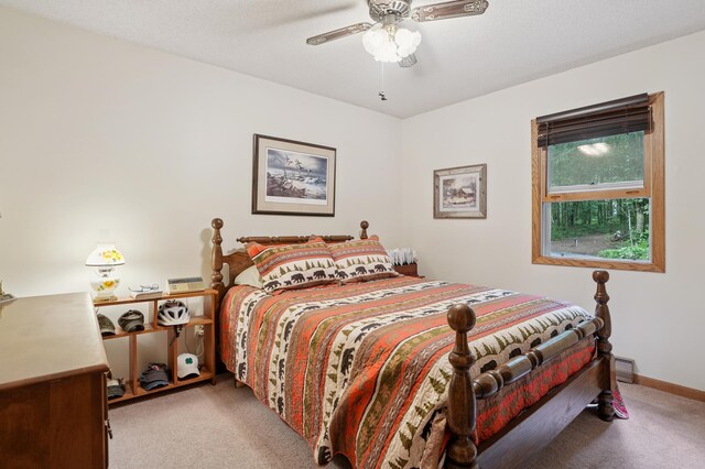 1575 120th St, Balsam Lake, WI 54810 - photo 11