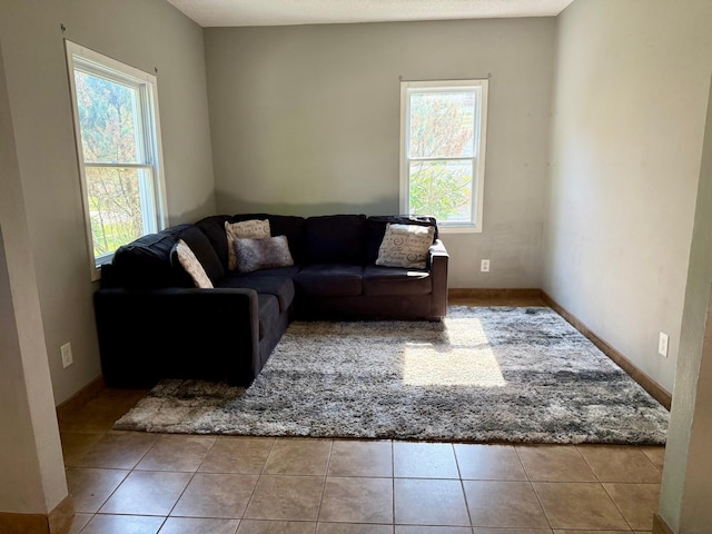 1212 Gorton Ave NW, Willmar, MN 56201 - living room with tile patterned flooring and baseboards